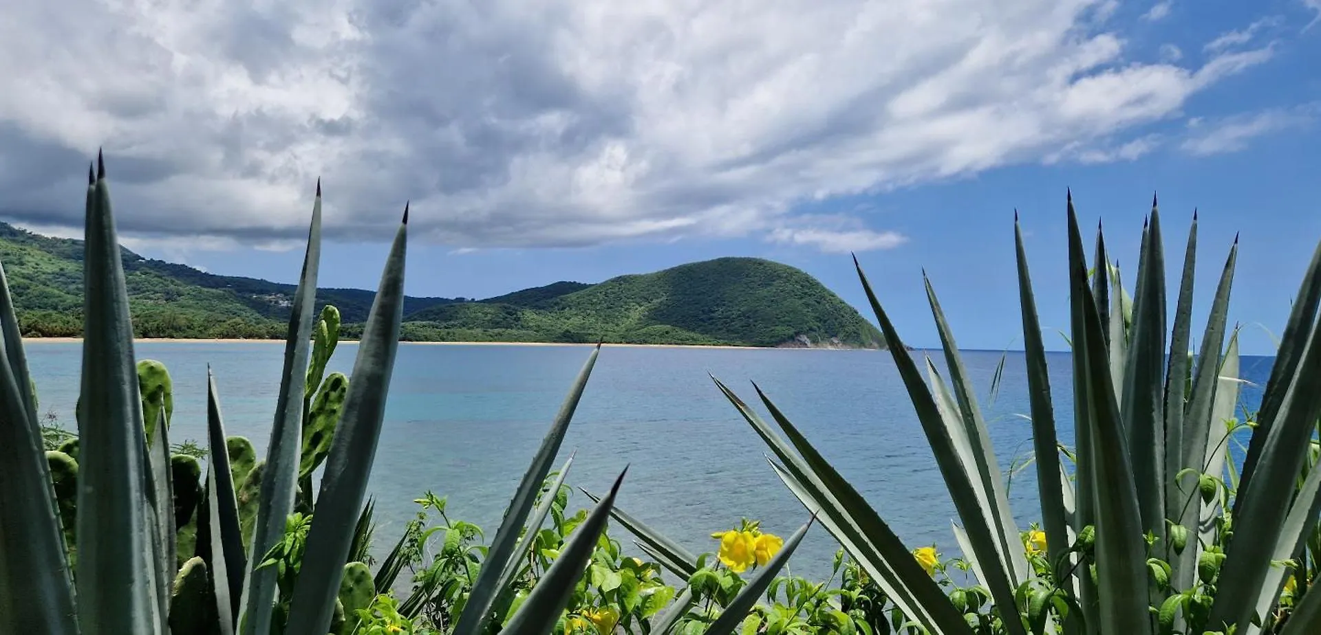 Lägenhet La Belle Vue - Grand Studio Vues Mer Et Acces Plages Deshaies
