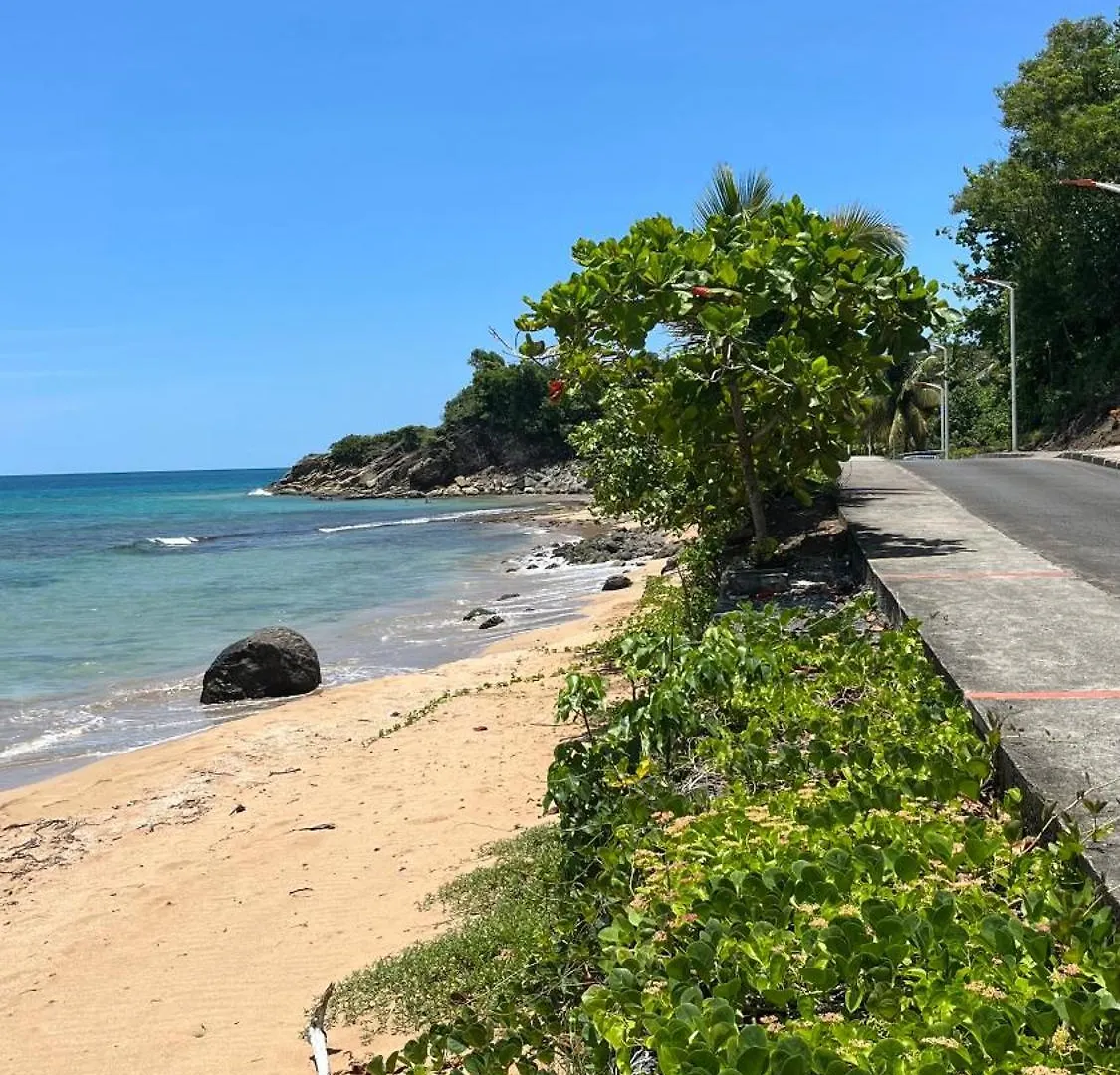 La Belle Vue - Grand Studio Vues Mer Et Acces Plages Deshaies Lägenhet